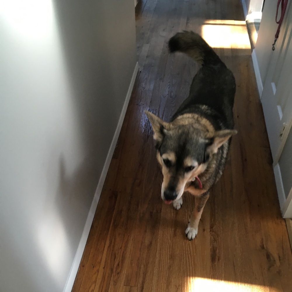 Meet your Posher, F.L.